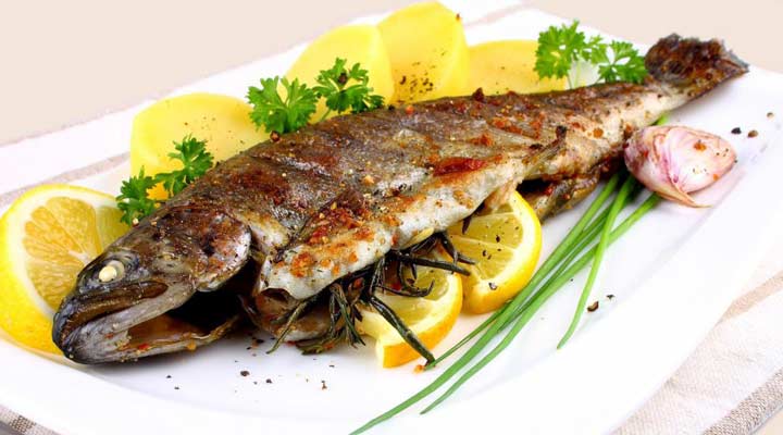 ماهی غذایی سرشار از امگا ۳