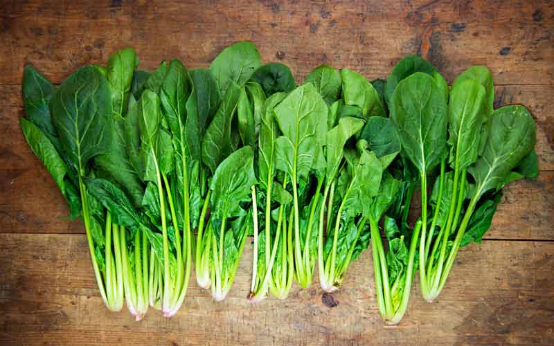 spinach-1.jpg