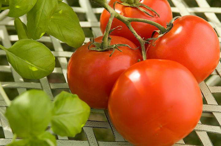 گوجه فرنگی برای از بین بردن بوی بد بدن