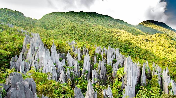 Gunung Mulu National Park in Sarawak