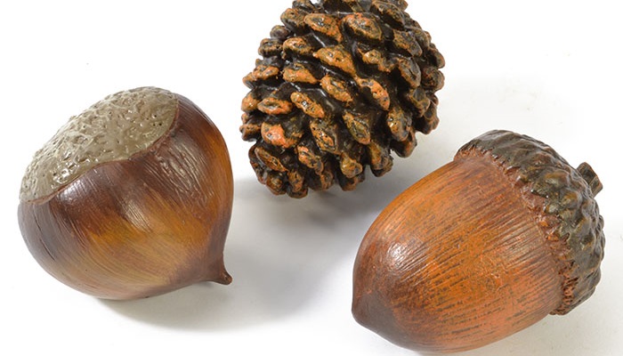 The difference between oak and chestnut