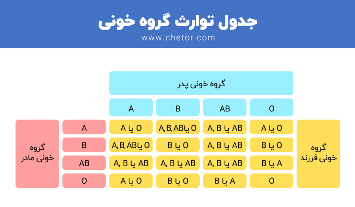 جدول توارث گروه خونی