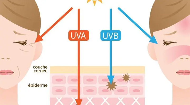 اشعه UVA و UVB و میزان نفوذ آنها