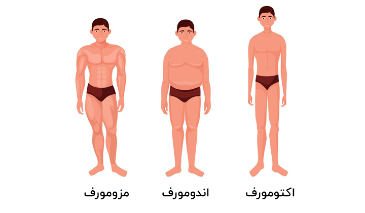 انواع تیپ بدنی آقایان