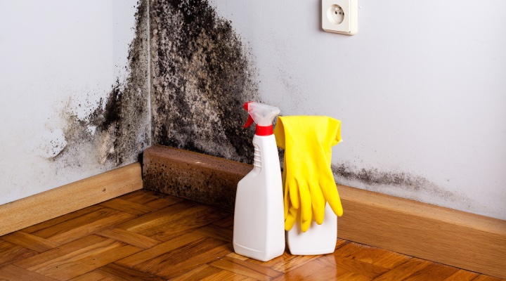 Eliminating the wall mold in the corner of the room with an anti-mold spray